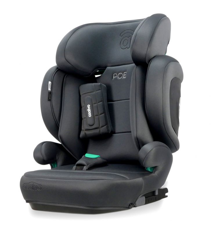 SILLA AUTO POE GRIS (100-150)CM - Imagen 11