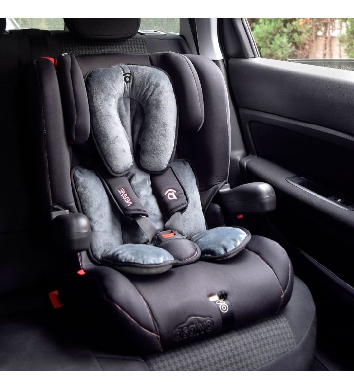 REDUCTOR PASA SILLA AUTO/PASEO - Imagen 2