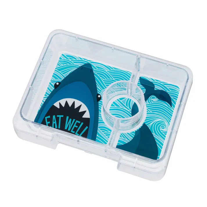 FIAMBRERA YUMBOX/3 SURF BLUE/SHARK TRAY - Imagen 5
