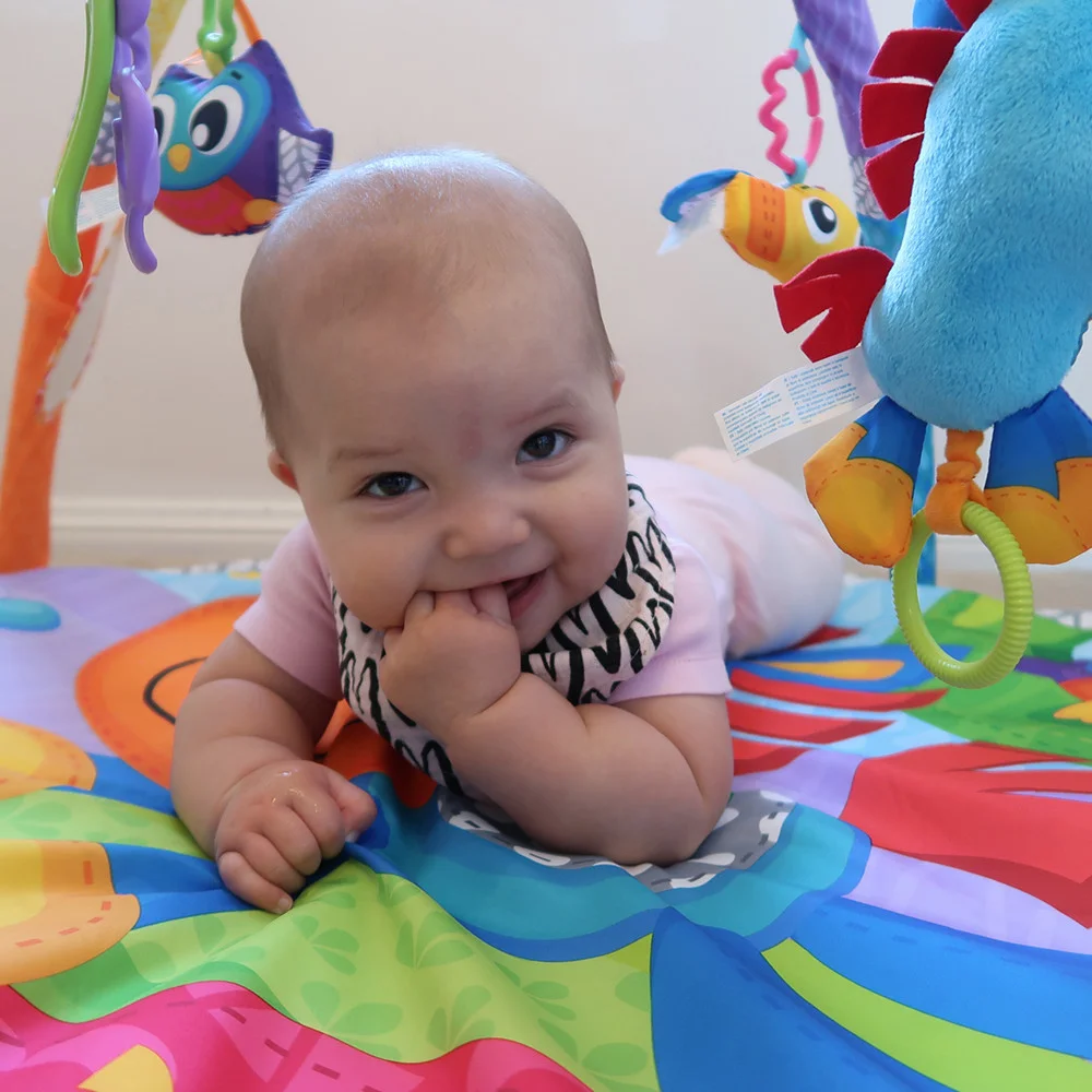 GIMNASIO CLIP CLOP MUSICA Y DIVERSION - Imagen 4