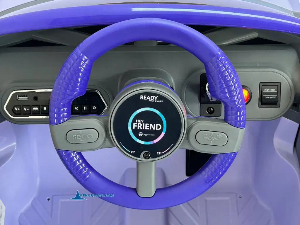 MINI ACEMAN MORADO - Imagen 6