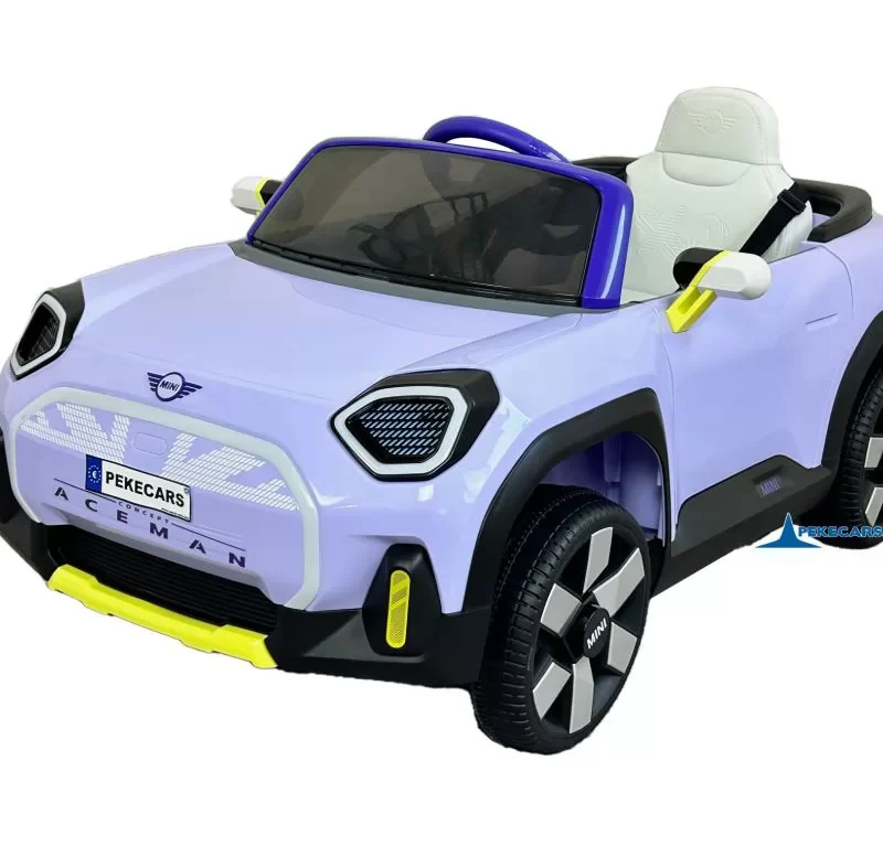 MINI ACEMAN MORADO