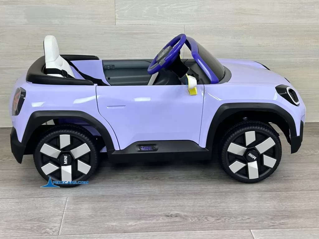 MINI ACEMAN MORADO - Imagen 15