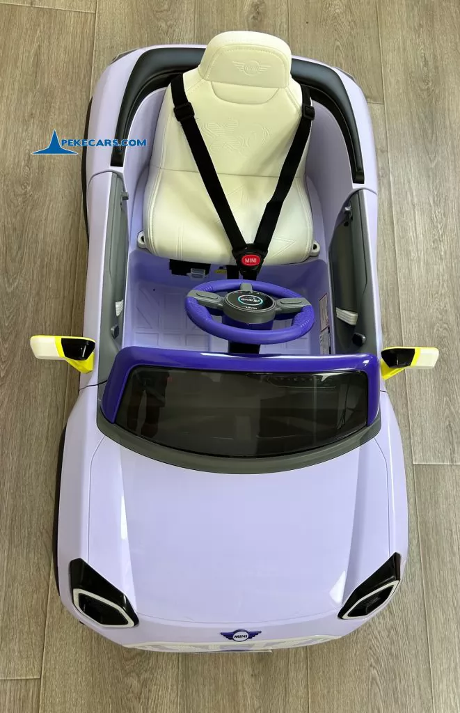 MINI ACEMAN MORADO - Imagen 13