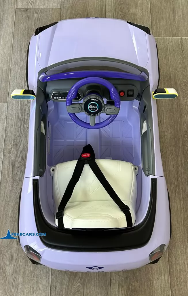 MINI ACEMAN MORADO - Imagen 12