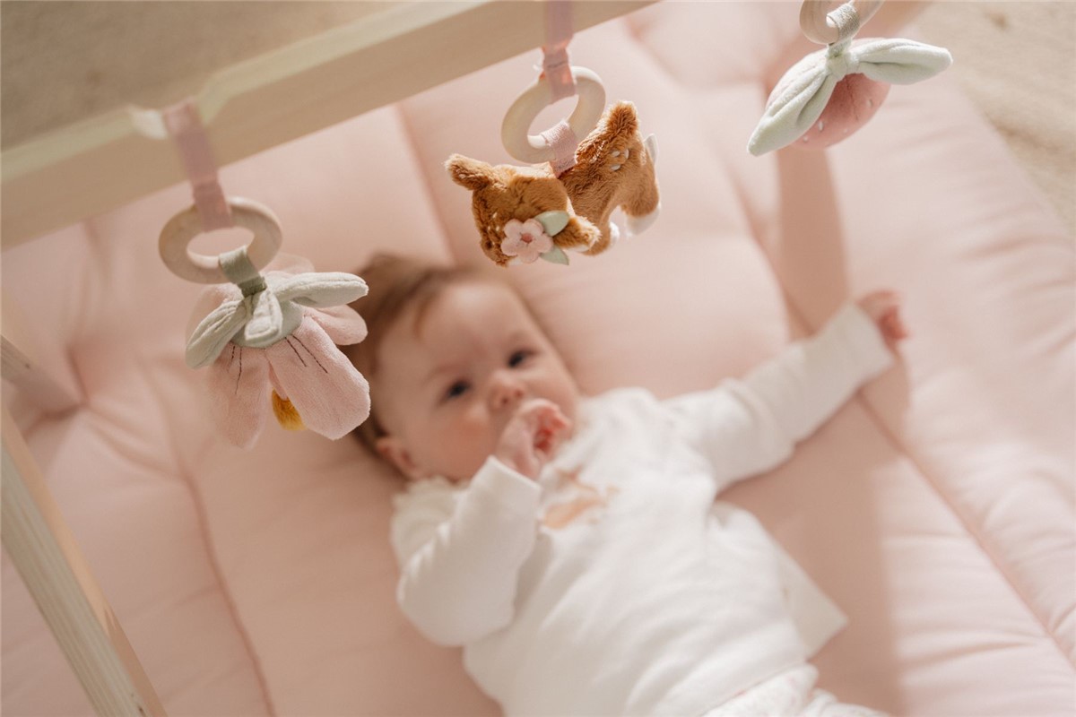 BABYGYM CON JUGUETES FAIRY GARDEN - Imagen 2