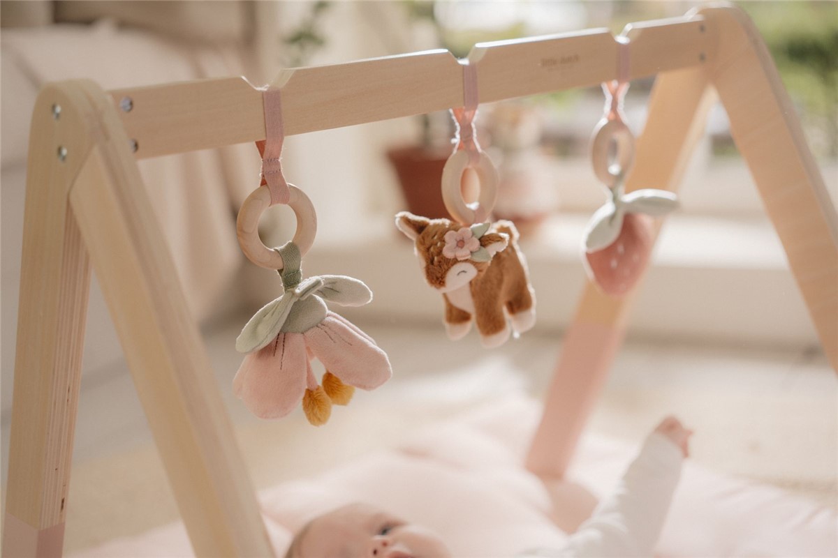 BABYGYM CON JUGUETES FAIRY GARDEN - Imagen 5