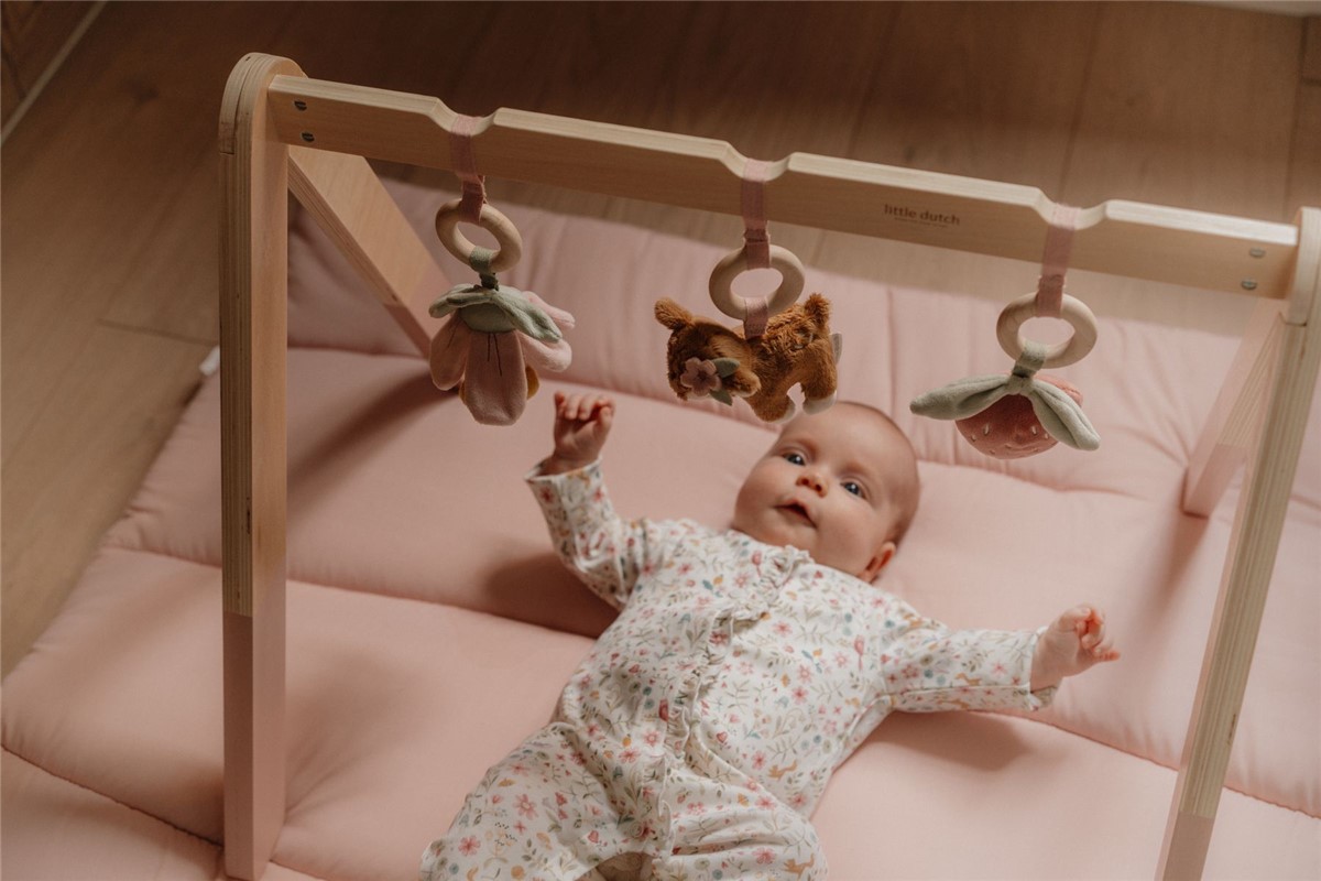 BABYGYM CON JUGUETES FAIRY GARDEN - Imagen 3