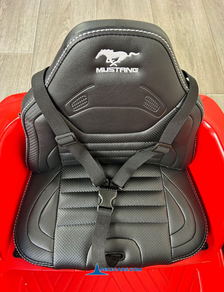 FORD MUSTANG ROJO - Imagen 8
