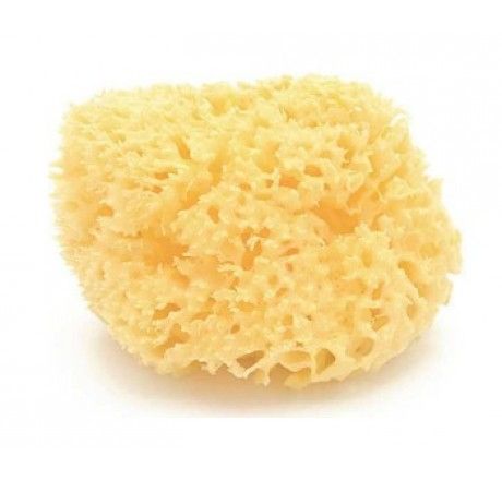 ESPONJA DE BAÑO NATURAL BELLINI